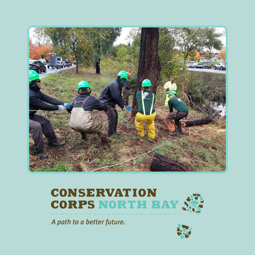 Conservation Corps North Bay (CCNB) | Essential Oxygen Planet Positive Initiatives | March 2023