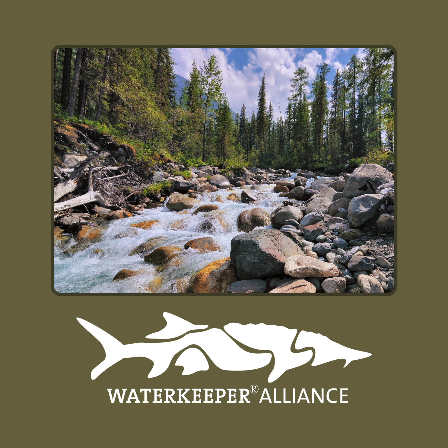 Clean Water Is Being Rewritten in Washington