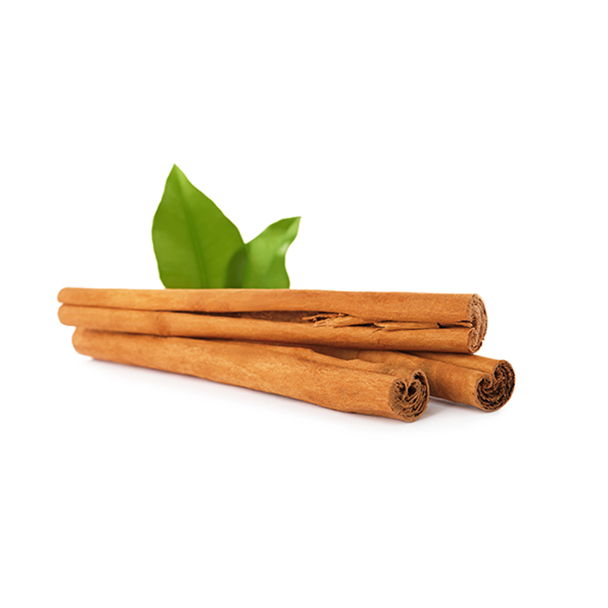 Organic Low Abrasion Toothpaste | Cinnamint - SOLD OUT!