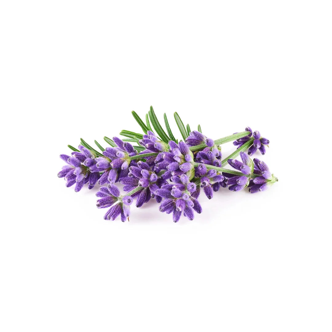 Flawless Floor Cleaner | Lavender