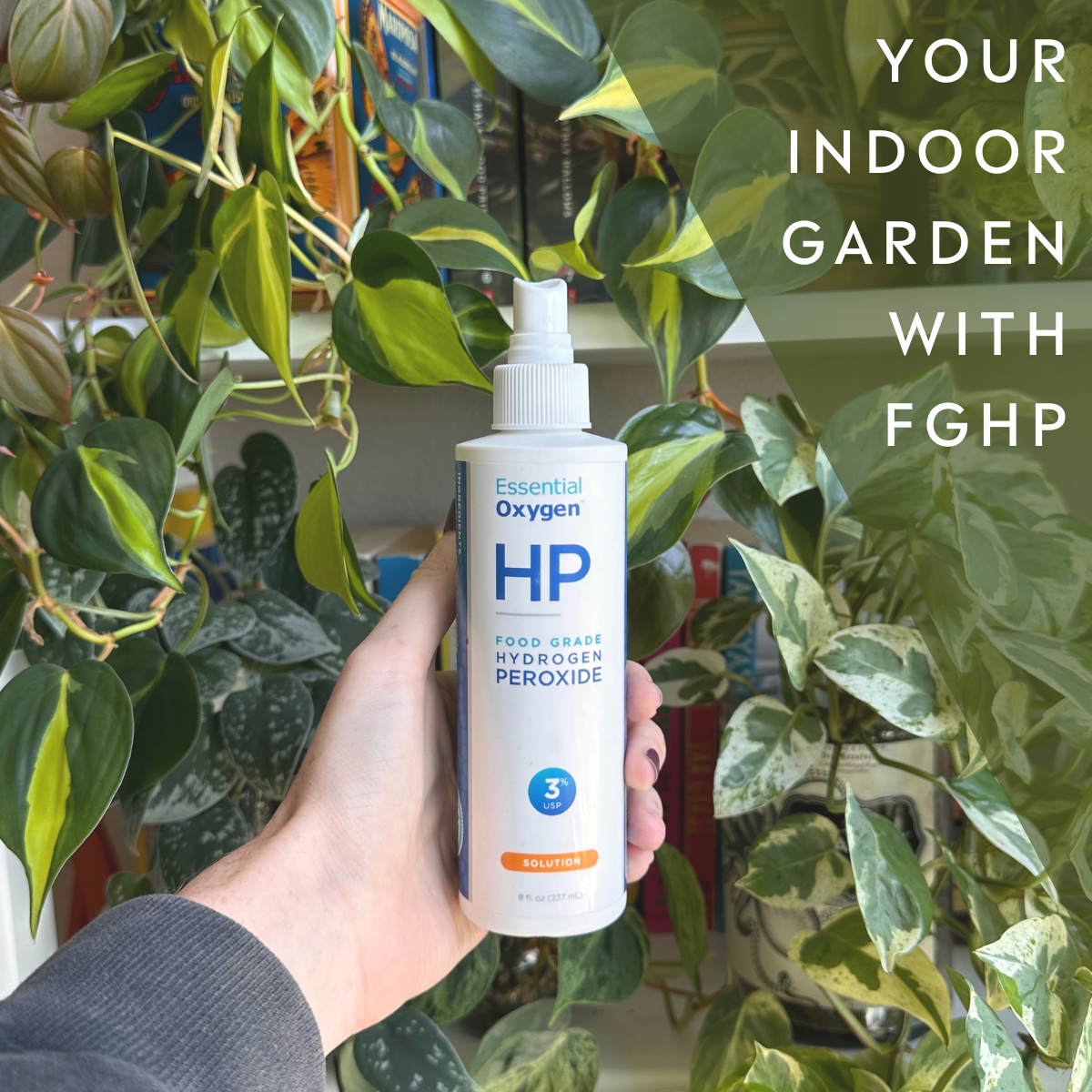 BOOST YOUR GARDEN WITH FGHP