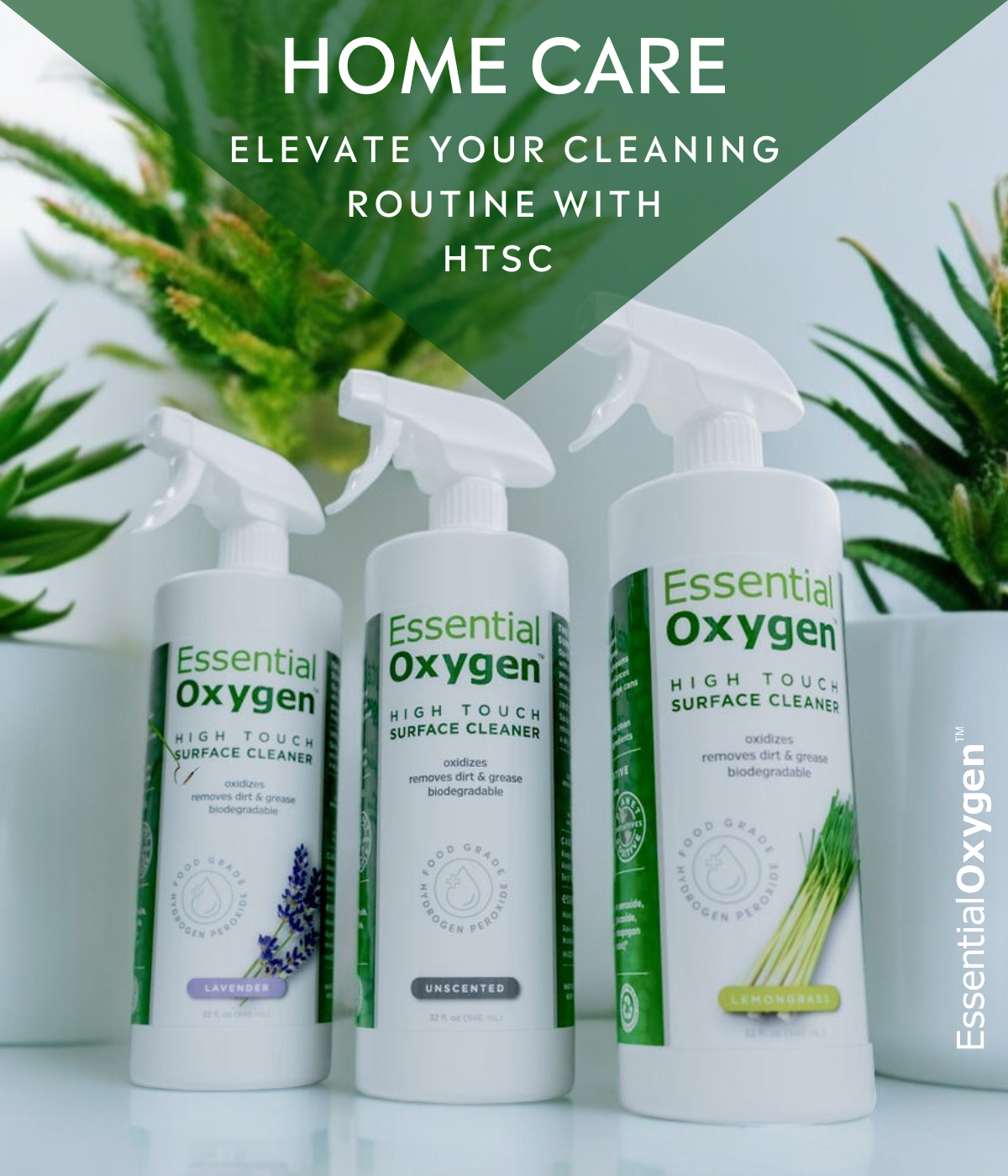 Essential Oxygen | Elevate Your Home Cleaning Routine with High Touch Surface Cleaner | 3 Spray Bottles of Essential Oxygen High Touch Surface Cleaner on White Counter with Succulent Plants in the Background