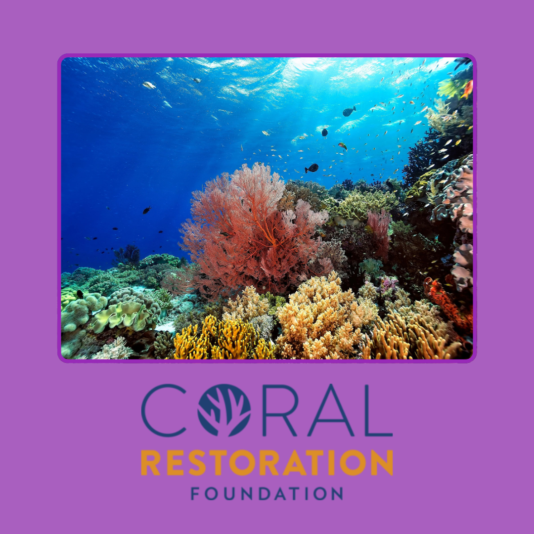 Coral Restoration Foundation | Essential Oxygen Planet Positive Initiatives | December 2024