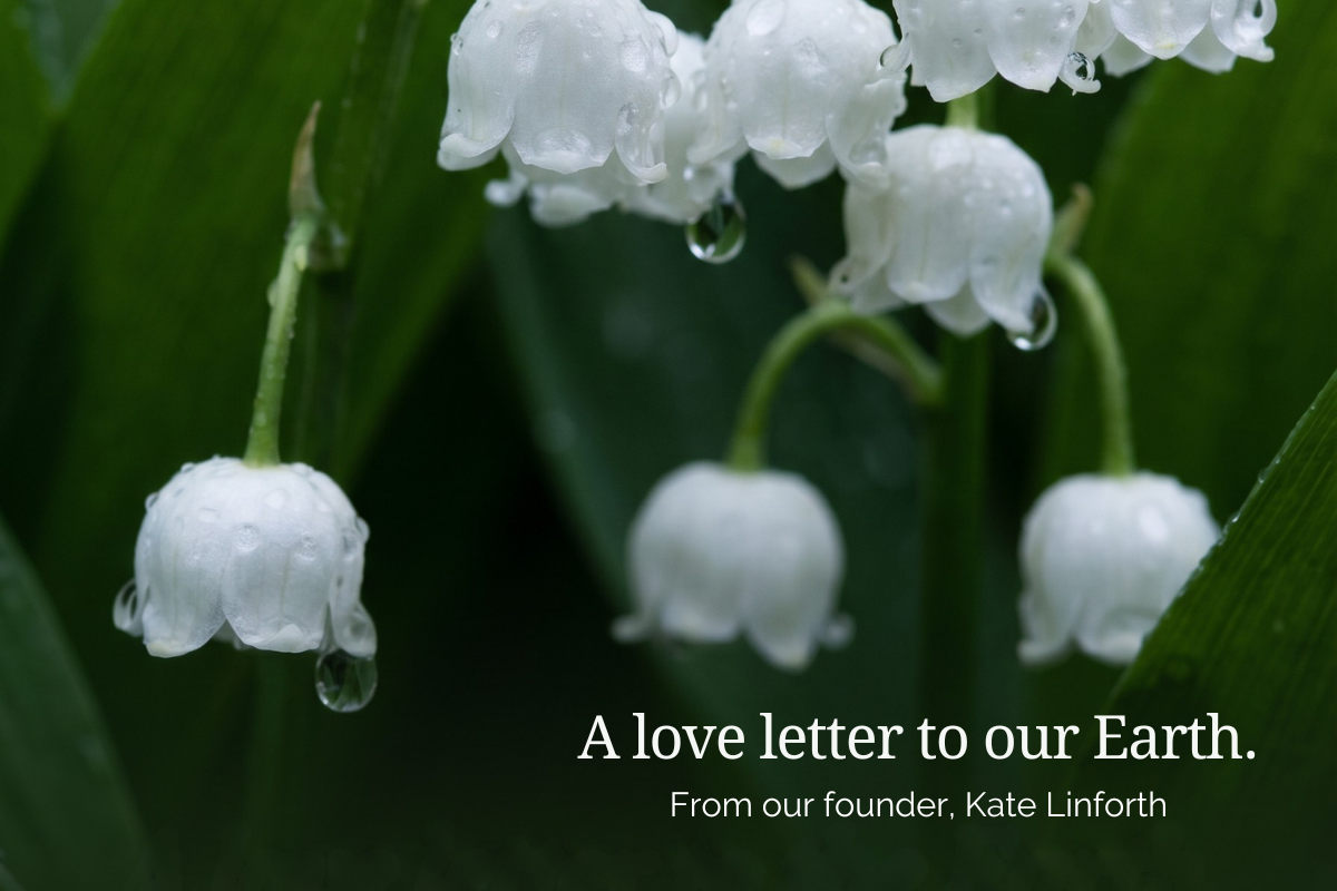 A Love Letter to Our Earth Letter from Essential Oxygen Founder Kate Linforth