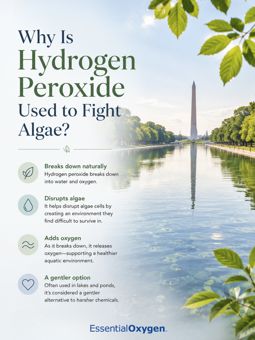 Why hydrogen peroxide fights algae, as seen at the Lincoln Memorial Reflecting Pool.
