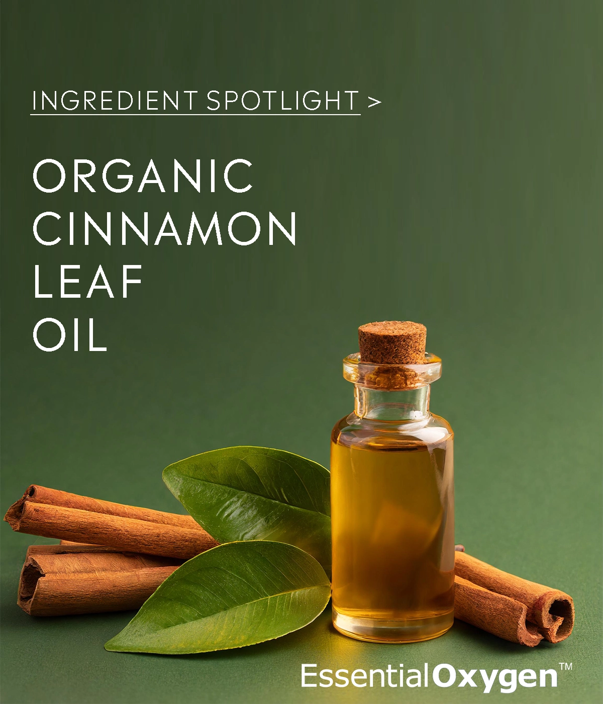 The Science Behind Our Organic Cinnamon Leaf Oil