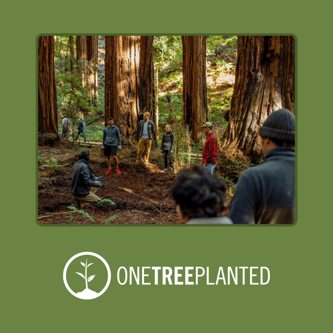 One Tree Planted Tree One Tree Planted | Essential Oxygen Planet Positive Initiatives | June 2024