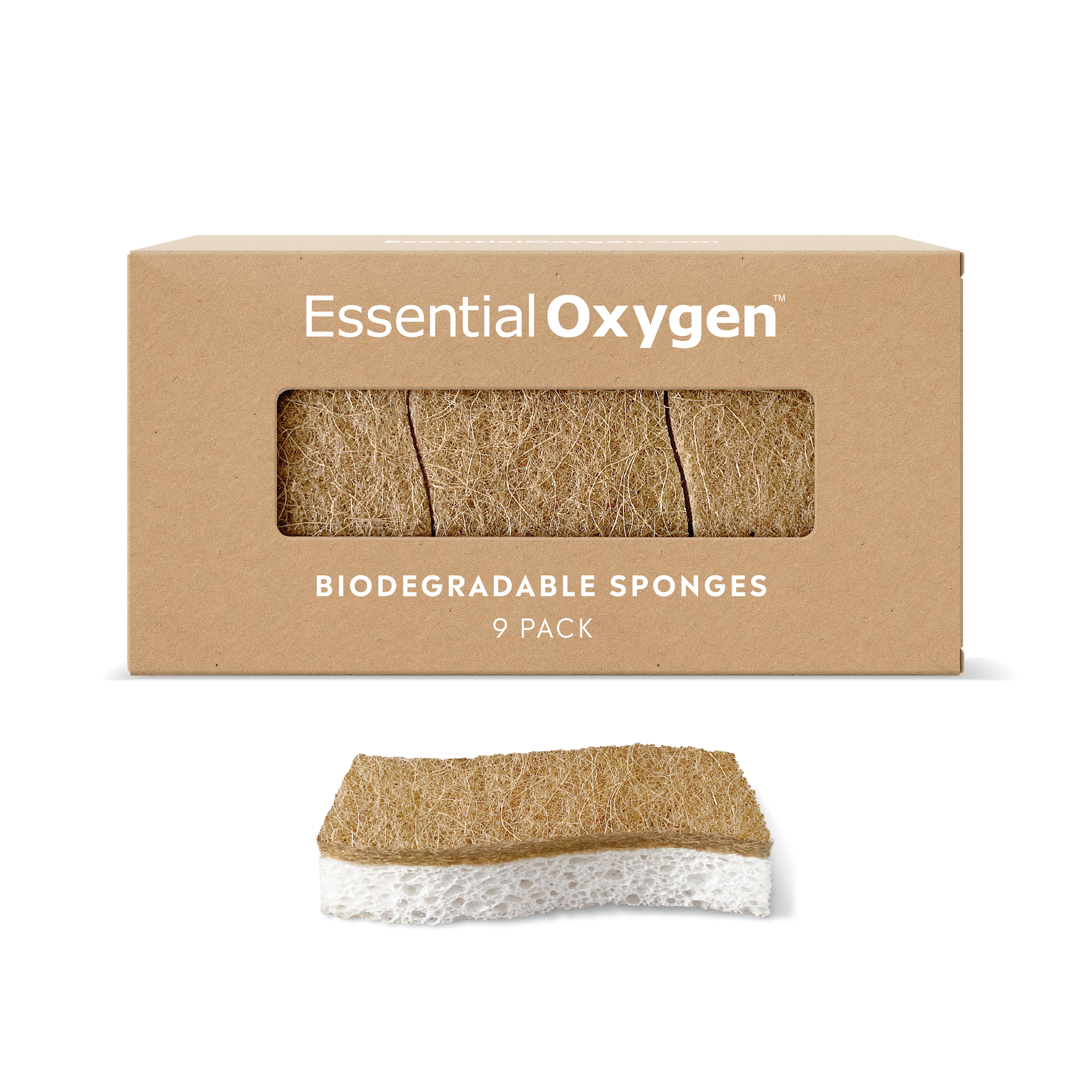 Biodegradable Sponges